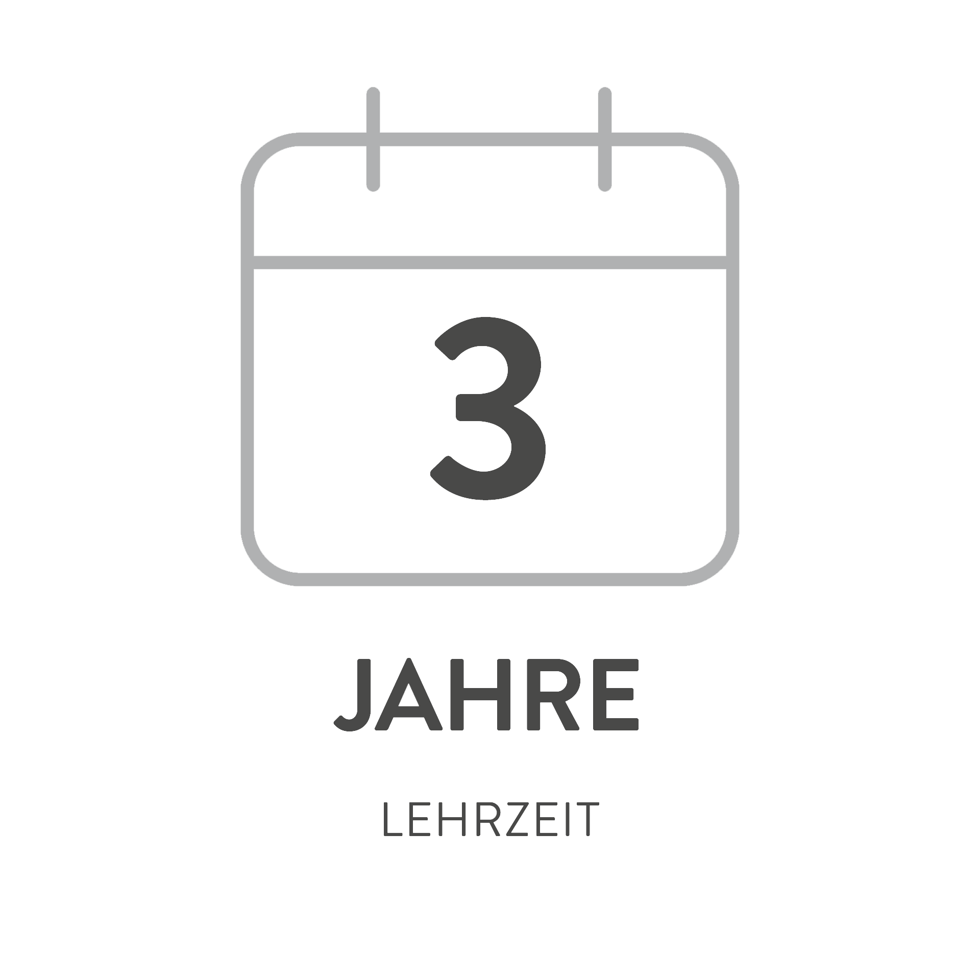 19_02761_Lehre_Tischlereitechnik_Icons_1920x1920px