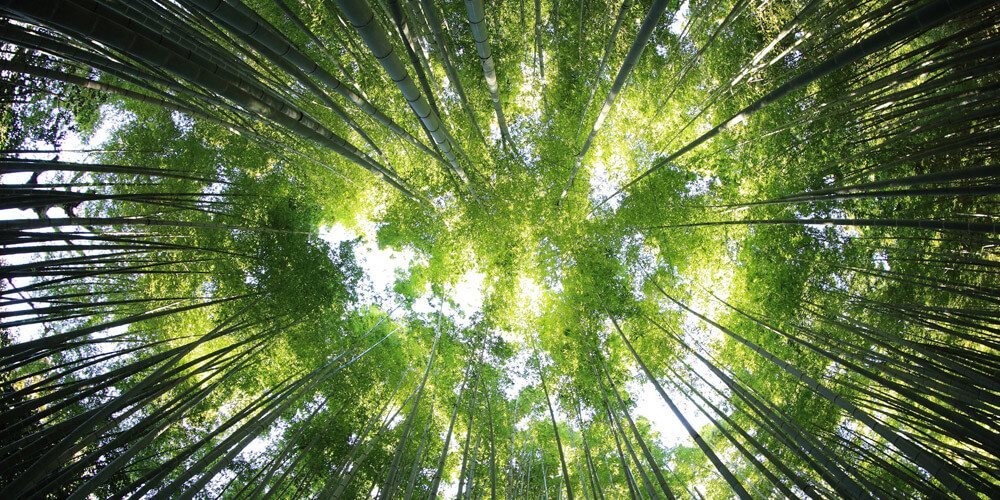 ZERTIFIKAT<br>DOWNLOADS